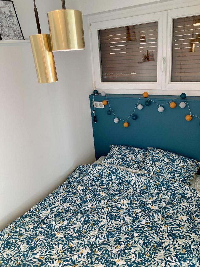 Montbéliard Appartement Avec Terrasse Et Parking Gratuit Accole מראה חיצוני תמונה